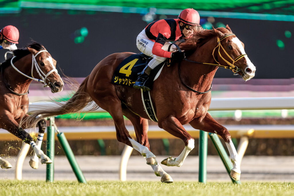 【競馬】最初のコーナーまでの距離一覧（中央・地方全場）