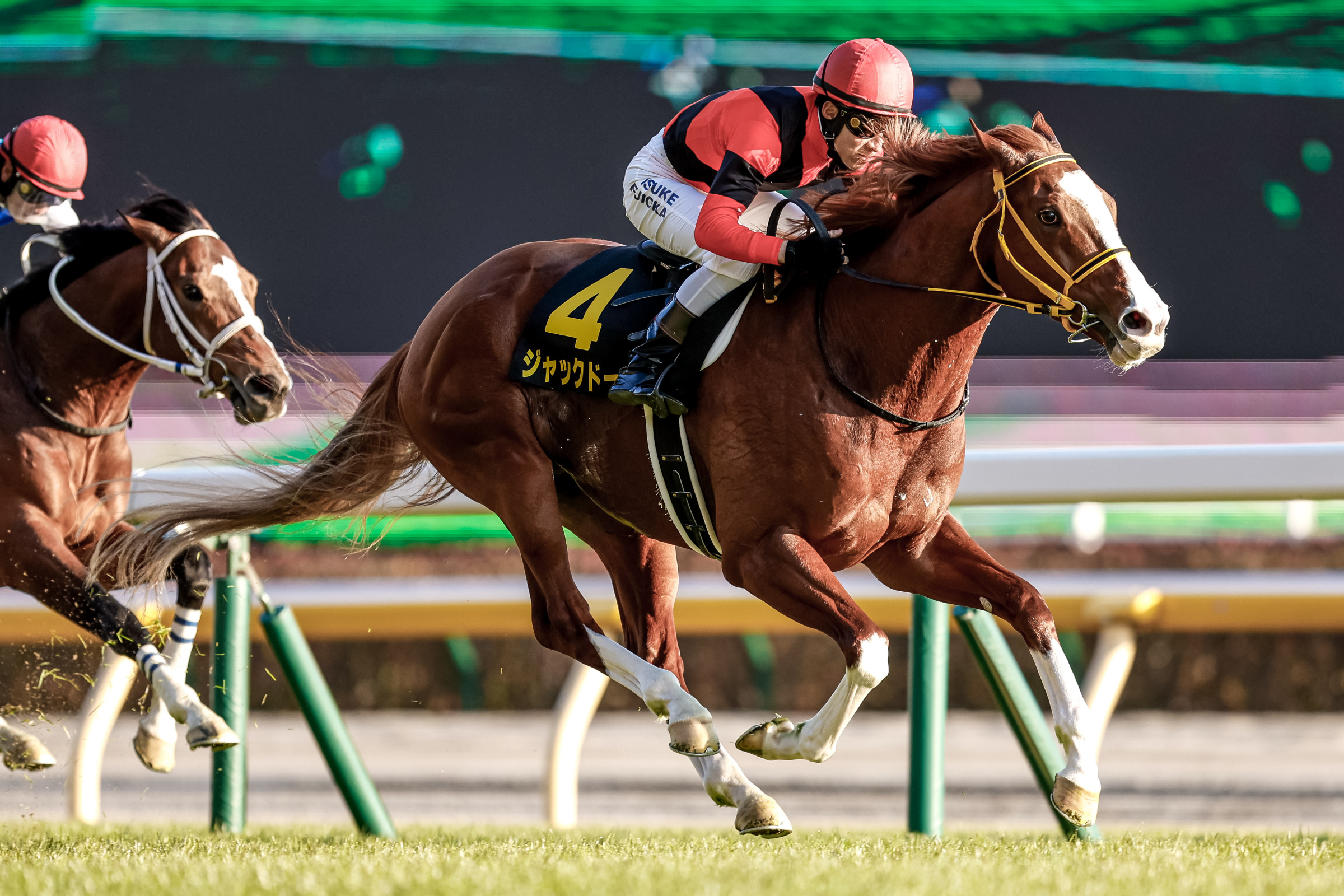 競馬】最初のコーナーまでの距離一覧（中央・地方全場） | うまってぃー